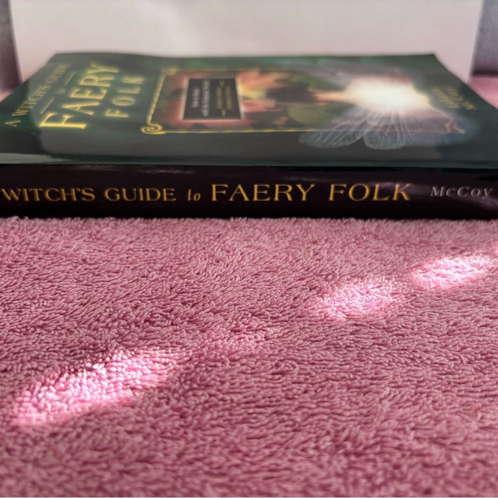 A Witch’s Guide to Faery Folk- by Edain McCoy - Picture 4 of 6